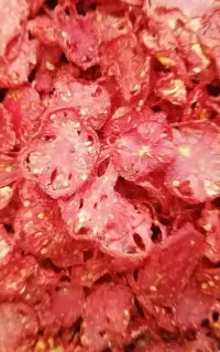 پودر گوجه خشک