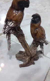 مجسمه های طوطی