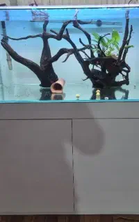 اکواریم برند APA 100.50.50 و فیلتر سطلی