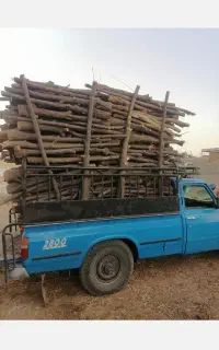 خرید وفروش انواع چوب