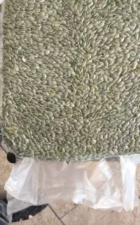 مغز تخمه کدو وکیوم کیسه 10کیلویی