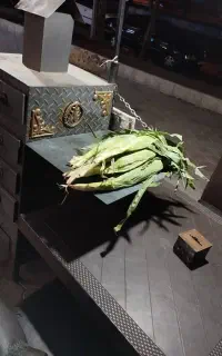 فر ذرت تنوری بخارپز