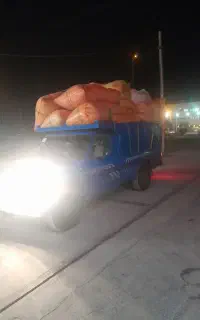 کاه گندم دست اول