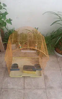 قفس پرنده