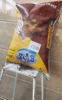 غذای ماهی