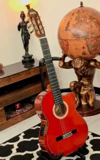 گیتار Washburn کاتوی ، پیکاپ فیشمن ، تراسرد دار نو