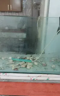 آکواریوم شیشه 6میل محکم با پمپ سالم