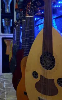 فروش و آموزش گیتار سنتور تنبک هنگدرام و...
