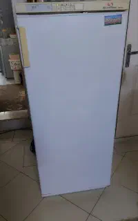 فریزر سرخ کن خرد کن