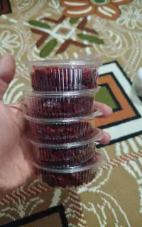 طعم نخل درجه یک