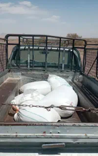 وانت مزدا کرایه ای