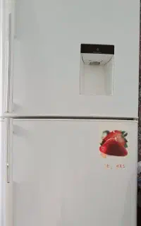 یخچال اورست