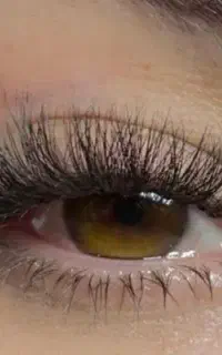 مدل اکستنشن مژه