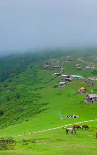 تور مسافرتی شمال انزلی