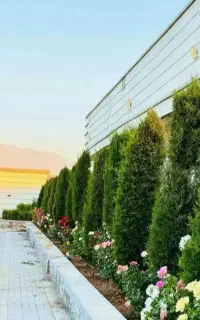 خدمات باغبانی باغچه کاری کاشت گل وگیاه تعویض گلدون