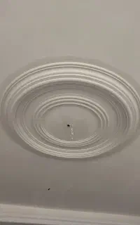 گچکار ی و سفید کاری گچبری