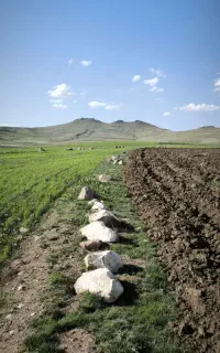 زمین زراعی به مساحت 13750 متر
