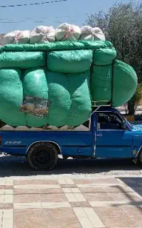 کاه