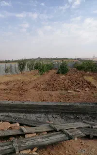 کار