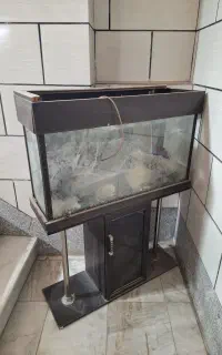 اکواریوم