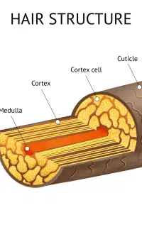 آموزش کراتین و درمان مو