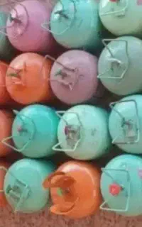 سر ذغالی