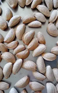 خرید بادام