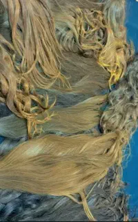 خریدار موهای طبیعی و رنگی