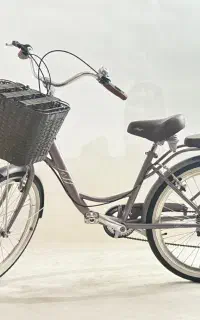 دوچرخه فرمالیته