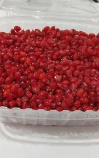 زرشک دانه شده ارسالی