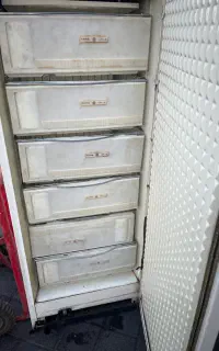 فریزر پارس