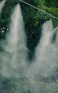 تـوجه. توجه