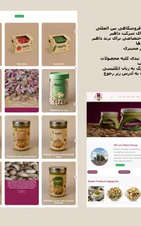 طراح و پشتیبان سایت هستم