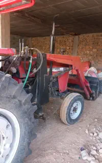 بیل پایه بگو ۲۸۵جفت وتک درحد