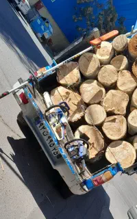 خرید درخت و چوب بام باقیمت بالا خریدارم.و هرسکاری.