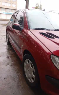 206 فرانسه 81