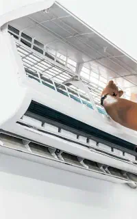 نصاب اسپیلت