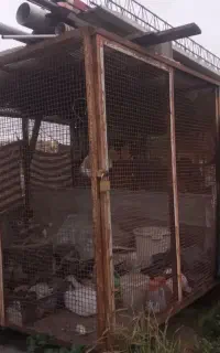 سه قفس  حدودا ۹ متری پرندگان و نگهداری حیوانات