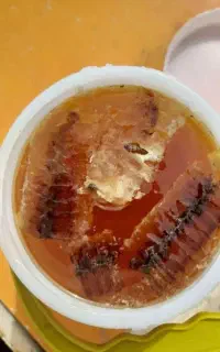 عسل کیلویی ۲۹۰تومن فقط امروز