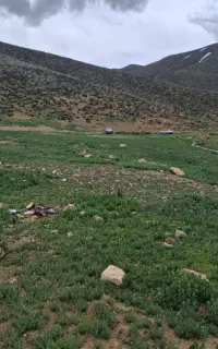 چوپان