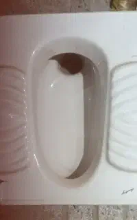 سنگ توالت