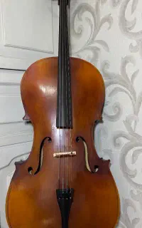 ویلنسل