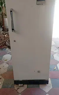 یخچال فلیکو آمریکایی