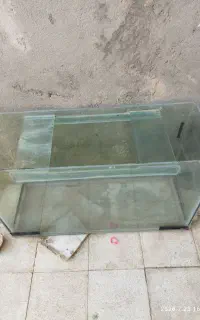 آکواریوم