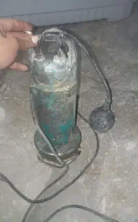 کفکش معامله با عروس هلندی