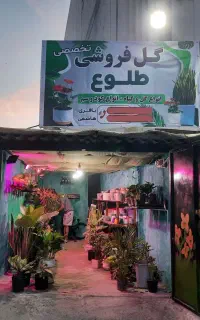 گلفروشی طلوع