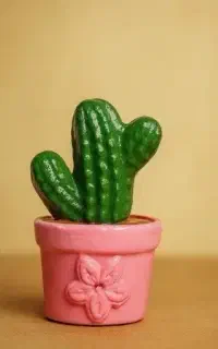 مجسمه دکوری طرح کاکتوس