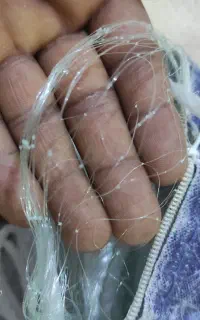تو ماهی بیا