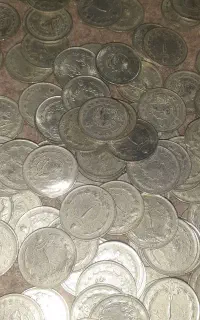 حدود ۲۰۰عددسکه شاهی