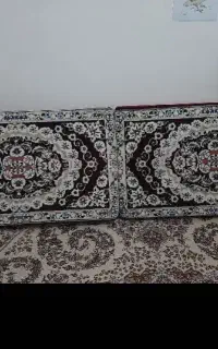 پشتی سالم